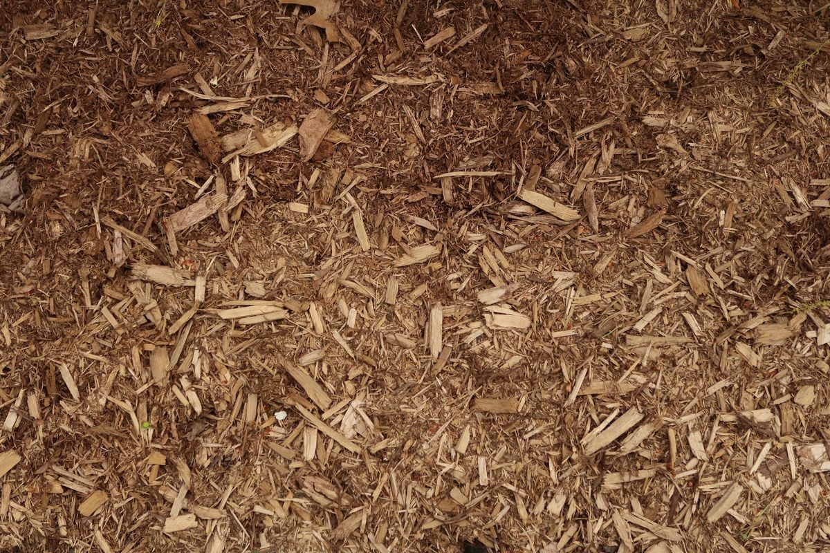Close up on brown mulch. 