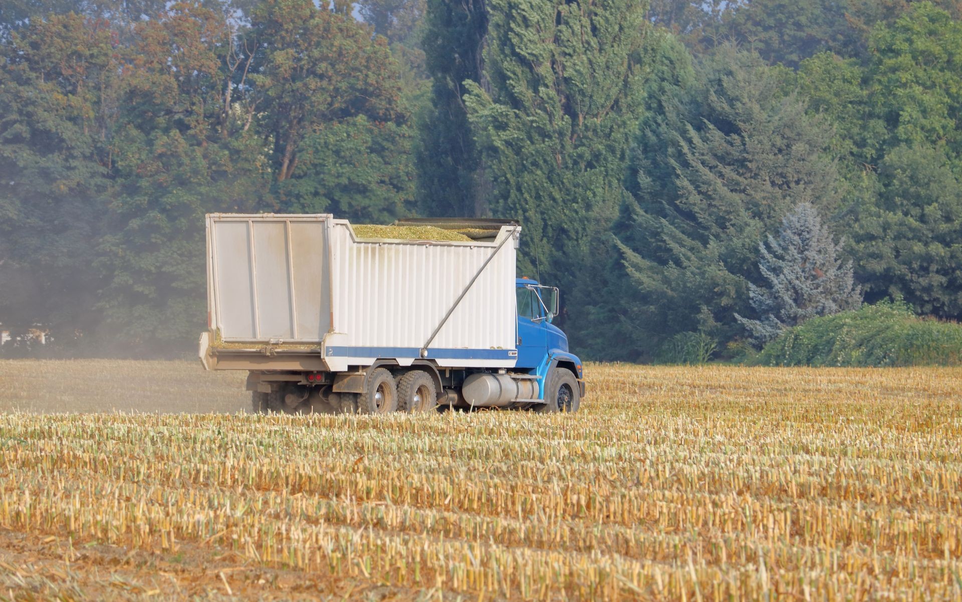 A large truck crosses a harvested corn field with an open container or bed loaded with corn mulch. 